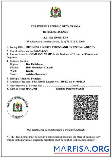 Realistic Tanzania business licence Word and PDF template
